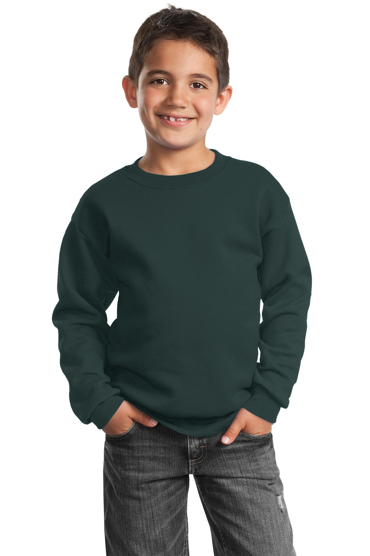 Port & Company PC90Y Youth Cotton/Poly Fleece Crewneck Sweatshirt - Pack Of 2 - Picture 6 of 21
