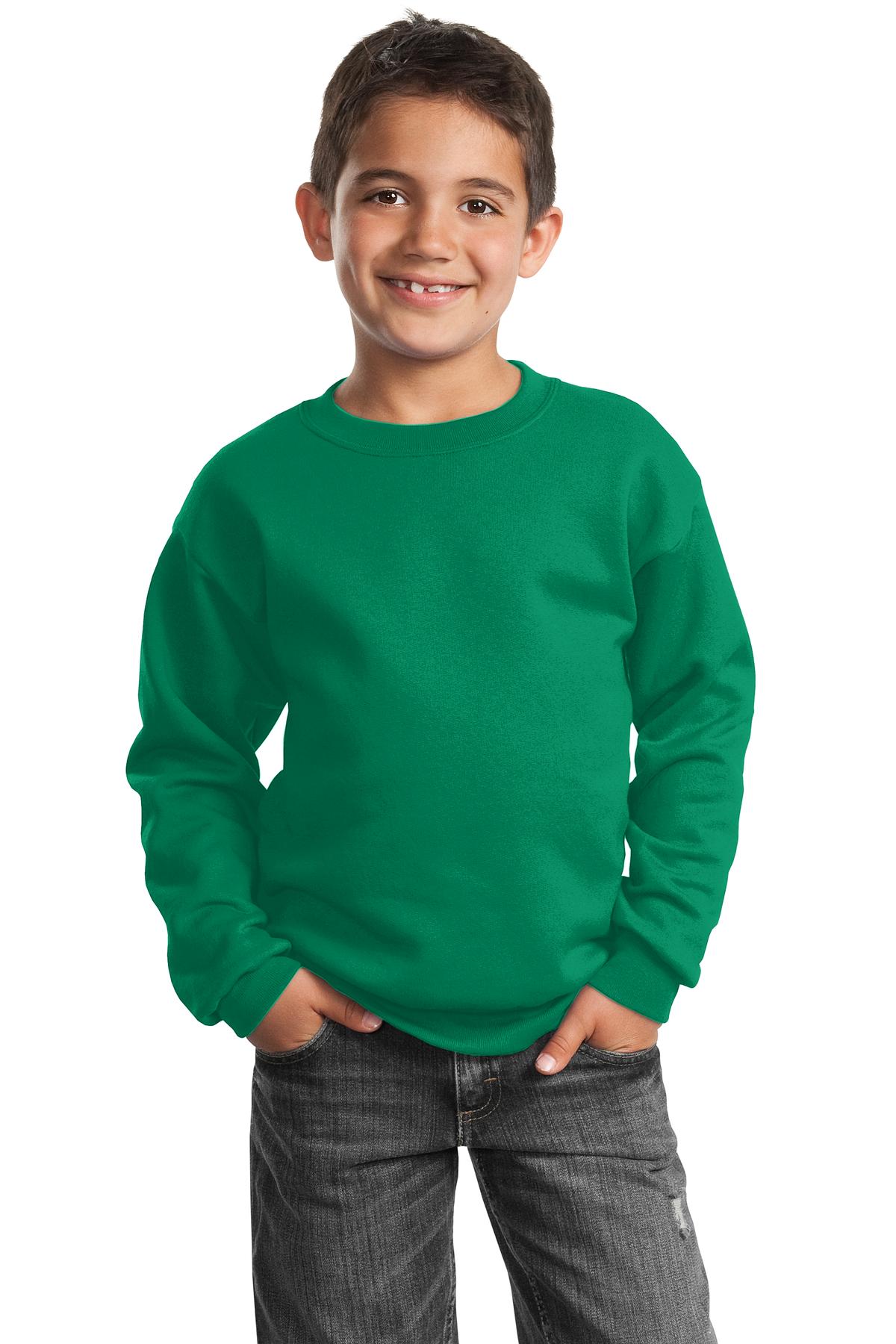 Port & Company PC90Y Youth Cotton/Poly Fleece Crewneck Sweatshirt - Pack Of 2 - Picture 9 of 21