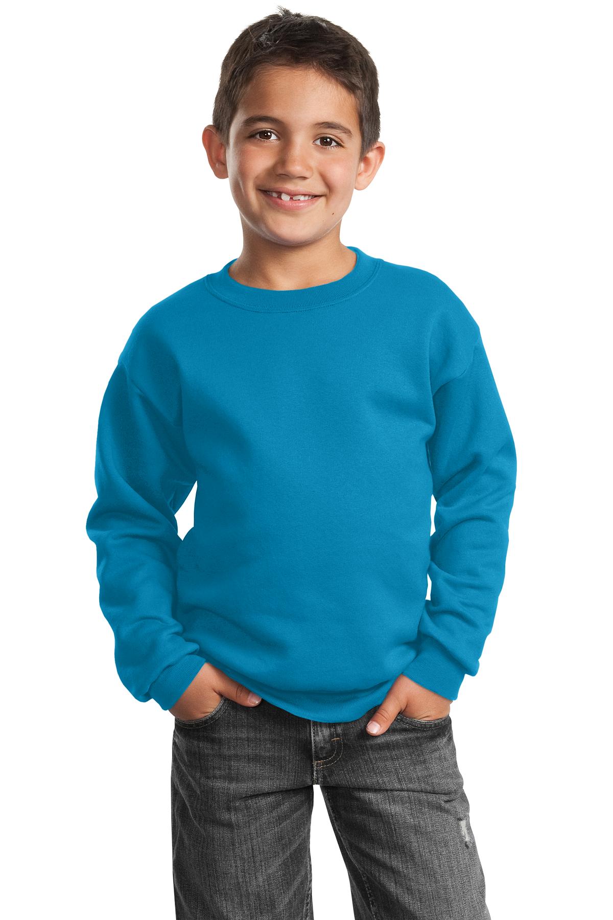 Port & Company PC90Y Youth Cotton/Poly Fleece Crewneck Sweatshirt - Pack Of 2 - Picture 12 of 21