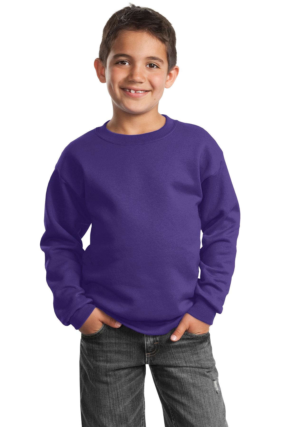 Port & Company PC90Y Youth Cotton/Poly Fleece Crewneck Sweatshirt - Pack Of 2 - Picture 17 of 21