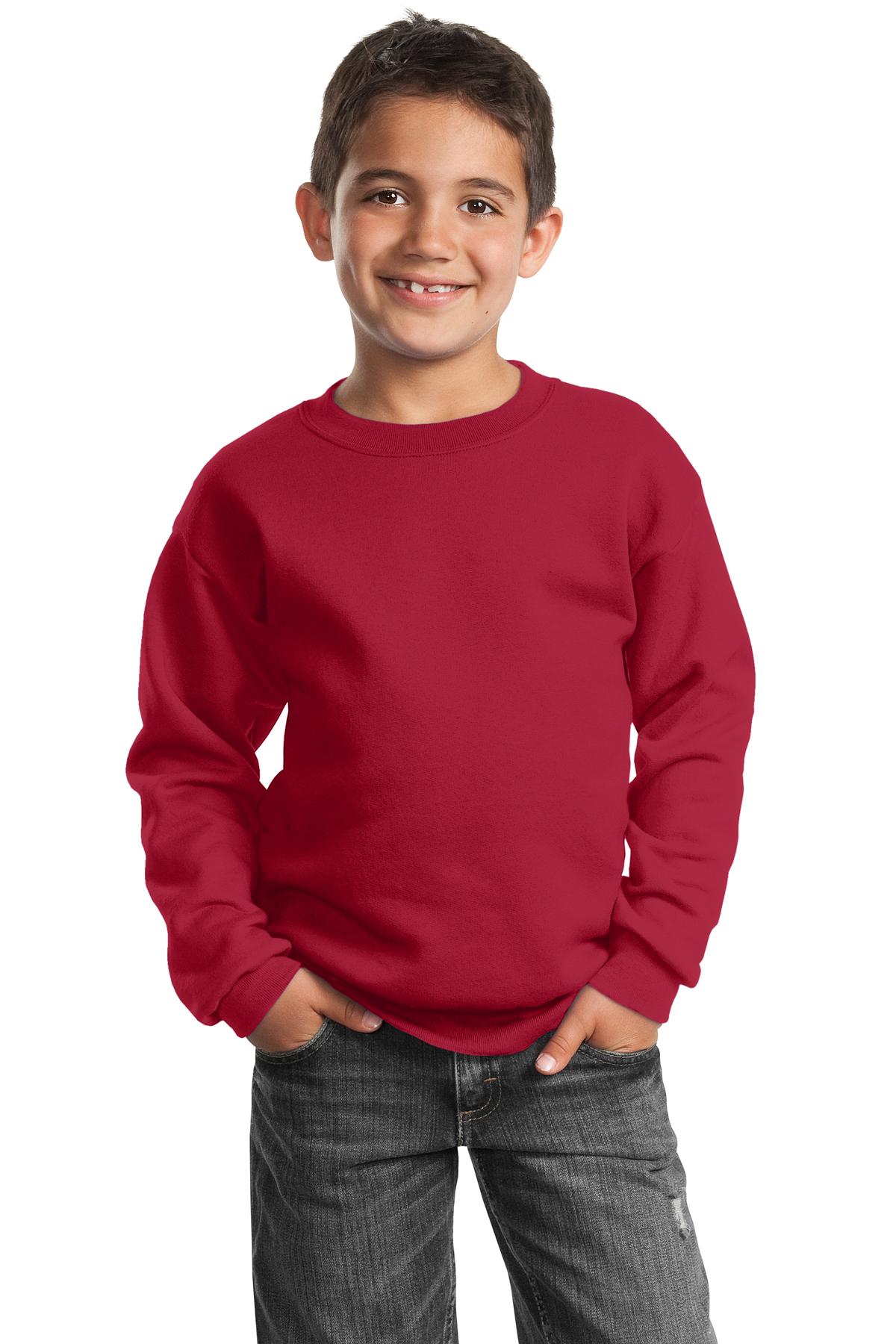 Port & Company PC90Y Youth Cotton/Poly Fleece Crewneck Sweatshirt - Pack Of 2 - Picture 18 of 21